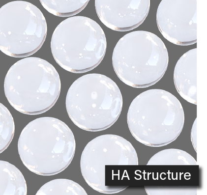 HA structure image
