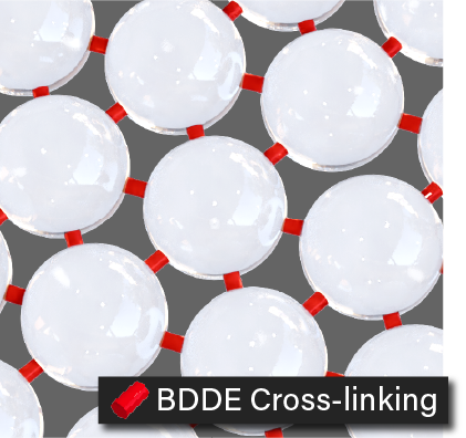 BDDE Cross-linked HA structure image
