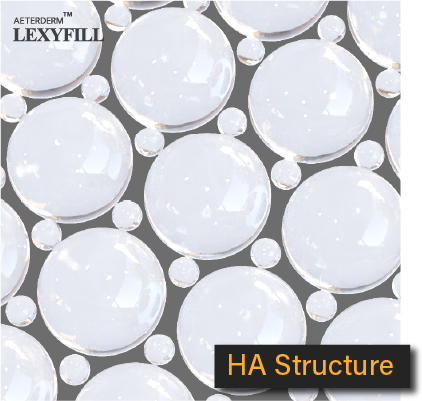 LEXYFILL's high and low molecule combined HA structure