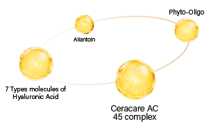 Allantoin, Phyto-Oligo, 7 Types molecules of Hyaluronic Acid, Ceracare AC 45 complex